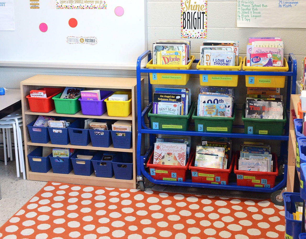 8 Genius Book Storage Ideas For the Classroom